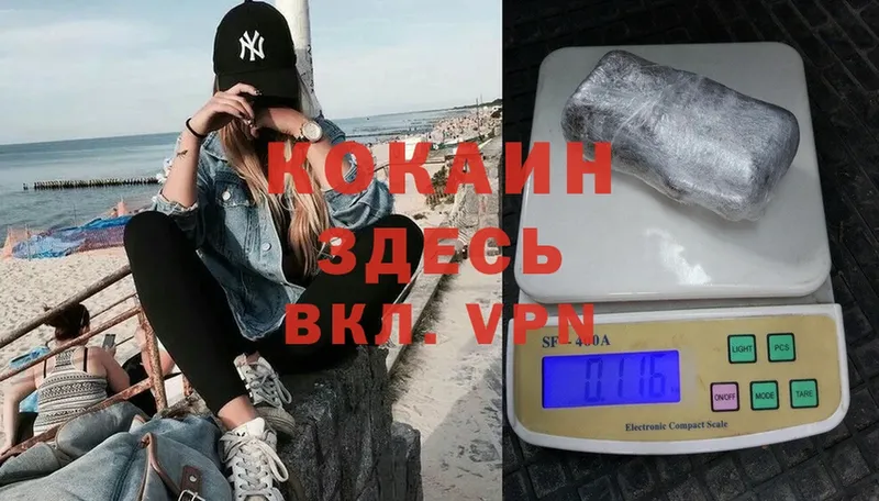 Cocaine Fish Scale  хочу наркоту  Багратионовск 